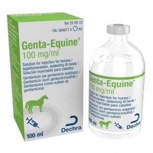 G**TA EQ*I*E 100MG/ML 100ML