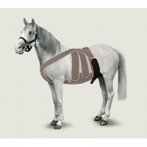 CORREA DE ESCROTO EQUINO TALLA M