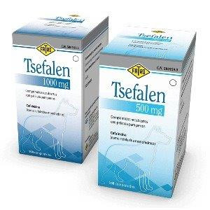 TS*F**EN 500MG 108 CO*P.