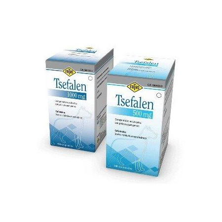 TS*F**EN 500MG 108 CO*P.