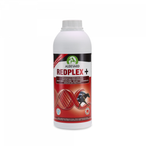 REDPLEX 1L - Equinvest
