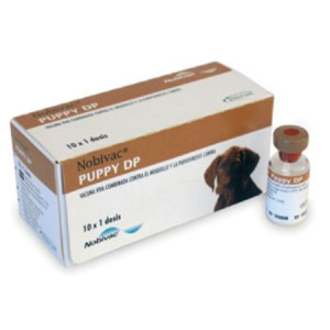 N**I*AC DP P**S PU*PY...