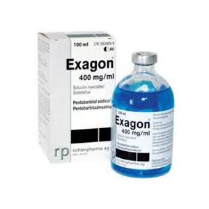 EX*G*N 400MG/ML 100ML