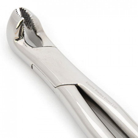 FORCEPS MOLARES CONCAVO