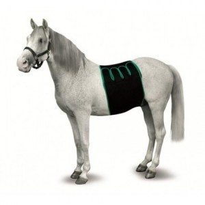 FAJA RECUPERACION EQUINO T-S
