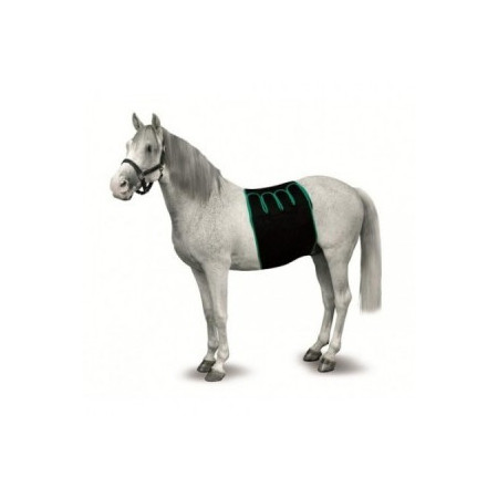 FAJA RECUPERACION EQUINO T-S