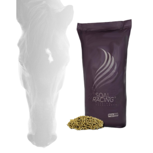 PIENSO EQUINO RACING CUBE FIBER + DIGEPLANT 25KG