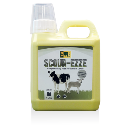 SCOUR EZZE 1 LITRO