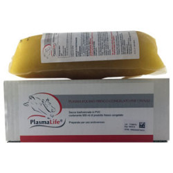 PLASMALIFE-PLASMA EQUINO CONGELADO 950 ML ** - Equinvest
