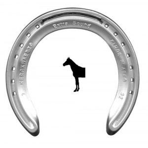 FER EN ALUMINIUM COURSE N28 PAIRE 1/PES KERK - Equinvest