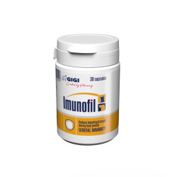 GIGI SUPL. IMUNOFIL 30 CAP.