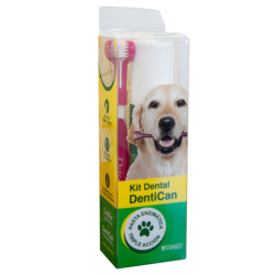 STANGEST KIT DENTAL CEPILLO + PASTA