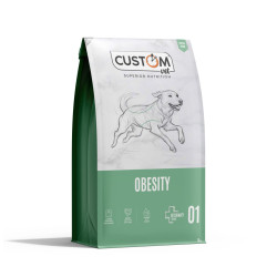CUSTOM DIET OBESITY 10KG