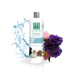MENFORSAN CHAMPU INTENSIFICADOR COLOR 300ML