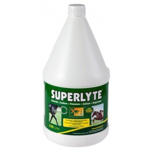 SUPERLYTE SYRUP 3,75 LITRES - Equinvest