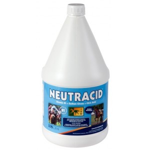 NEUTRACID 3,75 LITRES - Equinvest