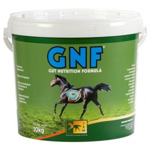 GNF 10KG ULCÈRE+PROBIOTIQUE - Equinvest