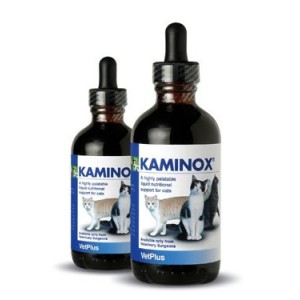 KAMINOX 120ML. - Equinvest