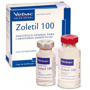 ZO*E**L 100