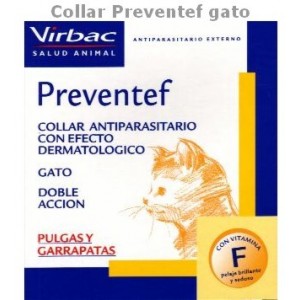 COLLIER PREVENTEF CHAT - Equinvest