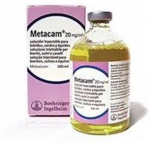 M**A*AM 20MG/ML 100 ML I*J....