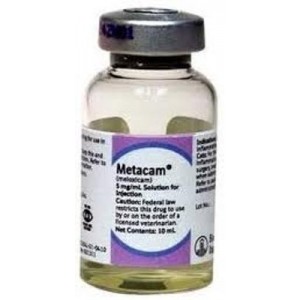 M**A*AM 5MG/ML 20 ML I*Y.