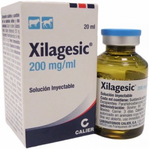 X**A*E**C 20% 20 ML
