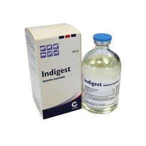 IN*I**ST 100 ML