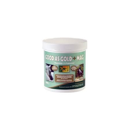 GOOD AS GOLD + MAGNÉSIUM 500GR - Equinvest