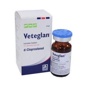 V**E*L*N 20 ML