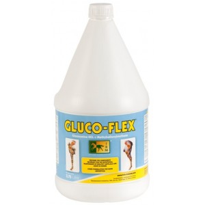 GLUCO-FLEX 3.75L. - Equinvest