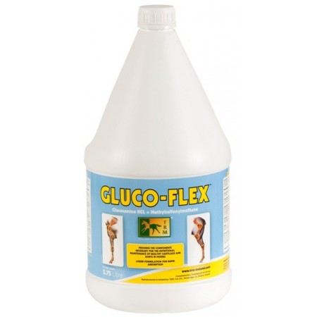 GLUCO-FLEX 3,75L. - Equinvest