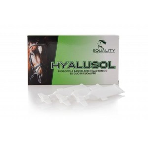 HYALUSOL 8ML X 10 AMPOULES (NÉBULISABLE) - Equinvest
