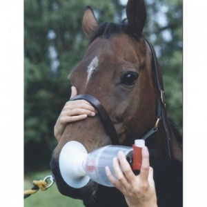 INHALATEUR HALER KRUUSE - Equinvest