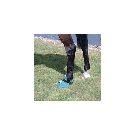 SAC POUR SABOT EQUIVET HOOF-IT T-L - Equinvest