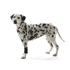 PROTECTEUR CARPIEN CHIEN REHAB KRUUSE T-L - Equinvest
