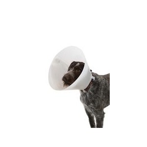 COLLAR ISABELINO BUSTER CLASSIC N35 (1UD) OPACO - Equinvest