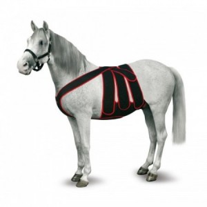 CEINTURE COMPLÈTE POST-OPÉRATOIRE CHEVAL T-M ROUGE - Equinvest