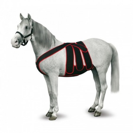 CEINTURE COMPLÈTE POST-OPÉRATOIRE CHEVAL T-P JAUNE - Equinvest