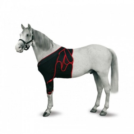 FAJA FRONTALE CHEVAL T-M - Equinvest