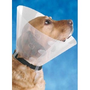 ZZ COLLIER ÉLISABÉTHAIN BUSTER CLIC N10(10UD).RETIRÉ EQUINVEST