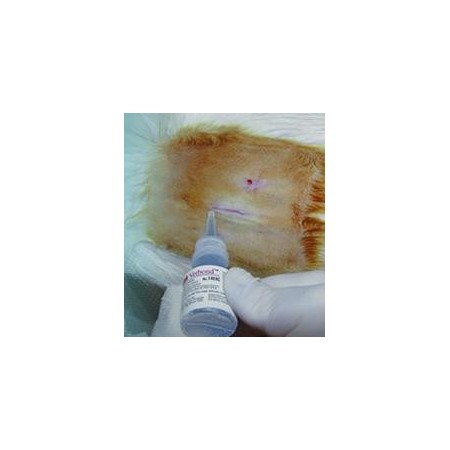 VETBOND ADHÉSIF TISSULAIRE VET 3ML 4CANUX12UD - Equinvest