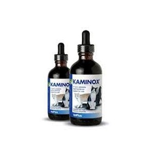 KAMINOX 60ML - Equinvest