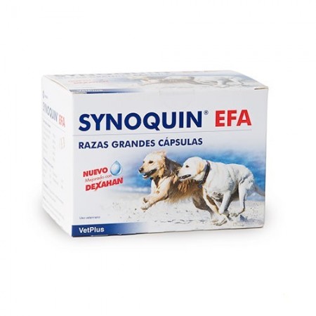 SYNOQUIN GRANDES RACES 120 COMPRIMÉS - Equinvest