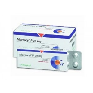 M**B*C*L P 20MG 10CO*P.