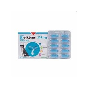 ZYLKENE 225MG 30 CAPSULES - Equinvest