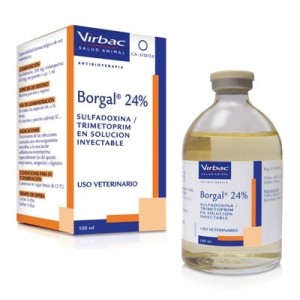 B**G*L 100ML
