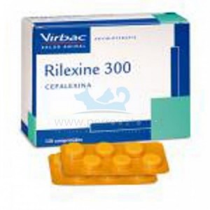 RI*E**NE 300 140 C**P*I**S