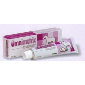 OMNIMATRIX POMADA 60GR. - Equinvest