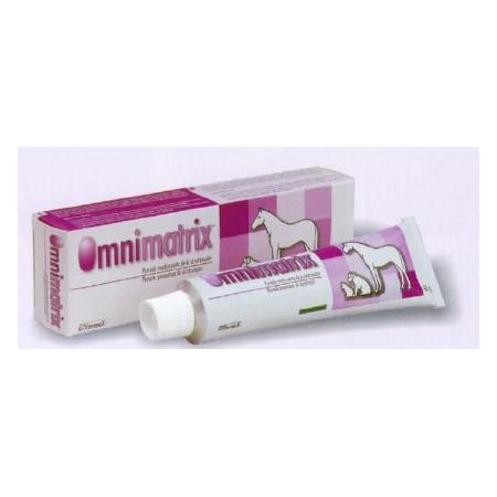 OMNIMATRIX POMADA 60GR. - Equinvest